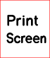 ANSI-US-Print-Screen