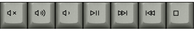 Set-Media-Icons