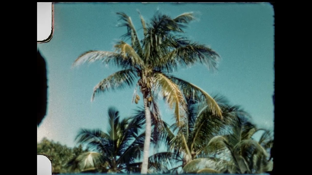 35mm Negative and Slide Scanning; Super 8 / 8mm / VHS Transfer 8 1953 Florida, 8mm Kodachrome Film, Custom-Built Machine Vision Scanner Transfer